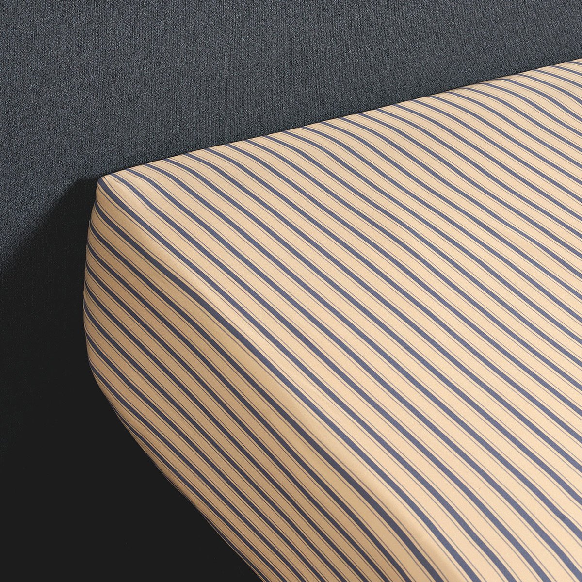 Drap housse 4 CONTINENTS - Bronze / Marine