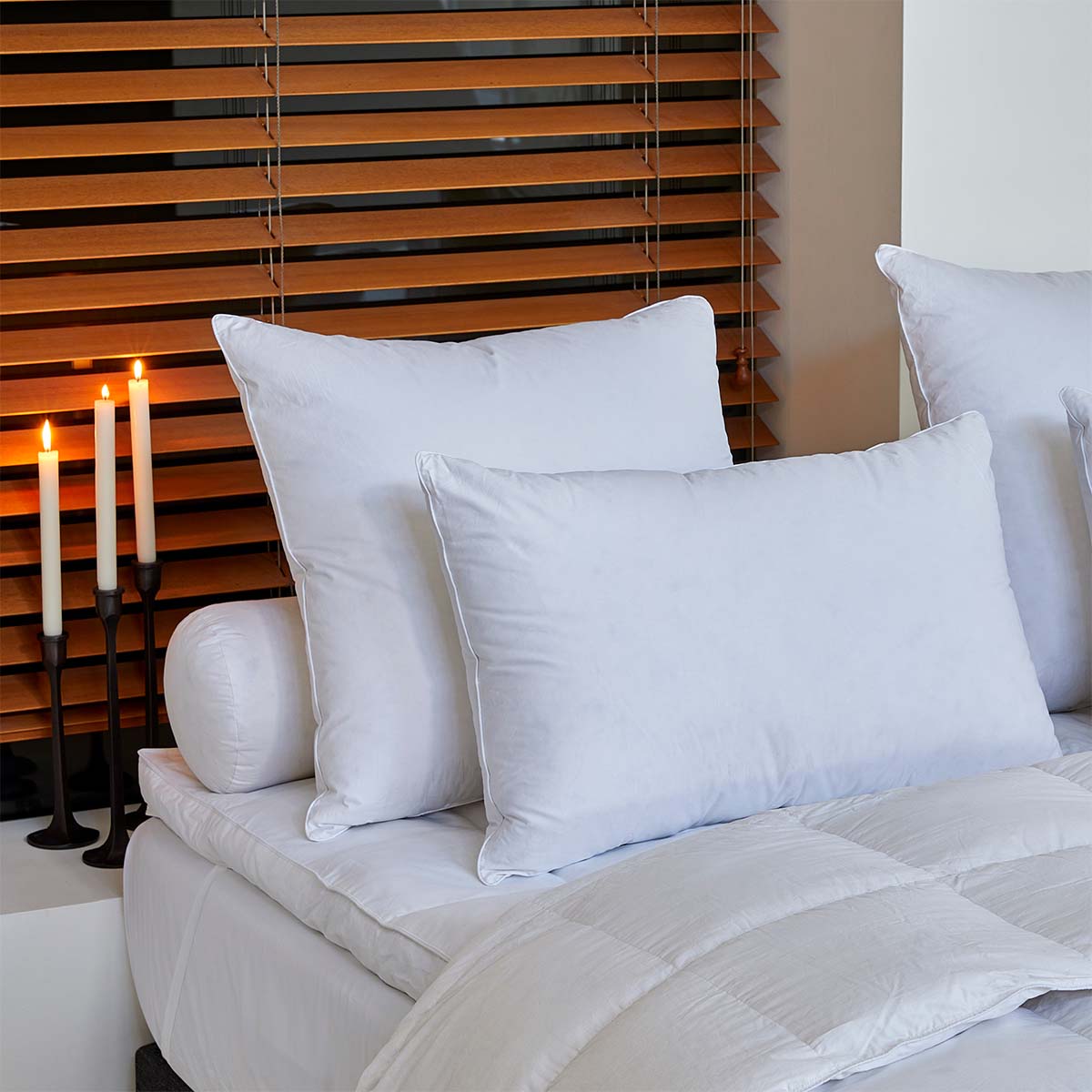 Oreiller Galaxie - 90% duvet d'oie - Moelleux