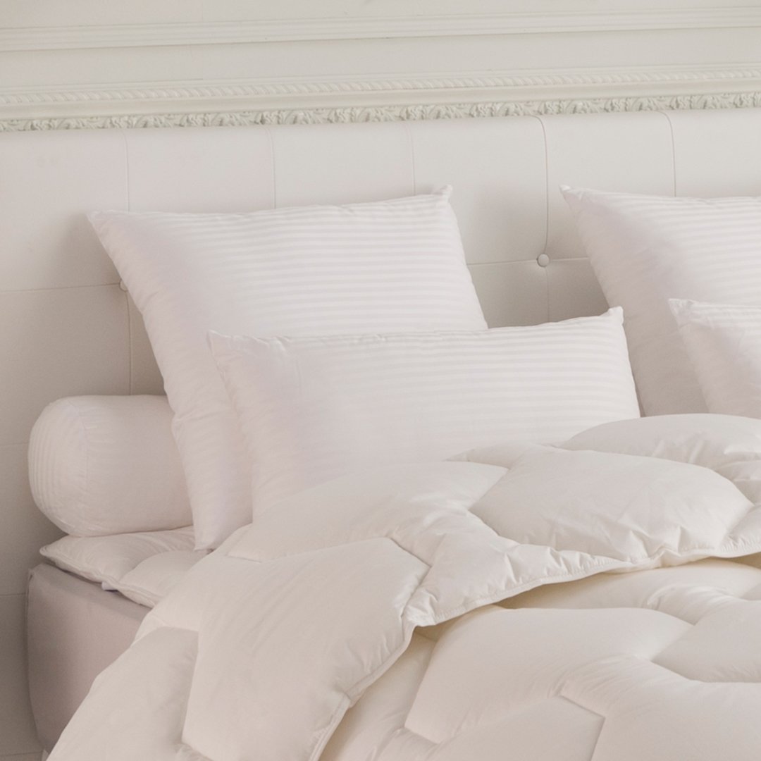 Oreiller Arica plus - Ferme