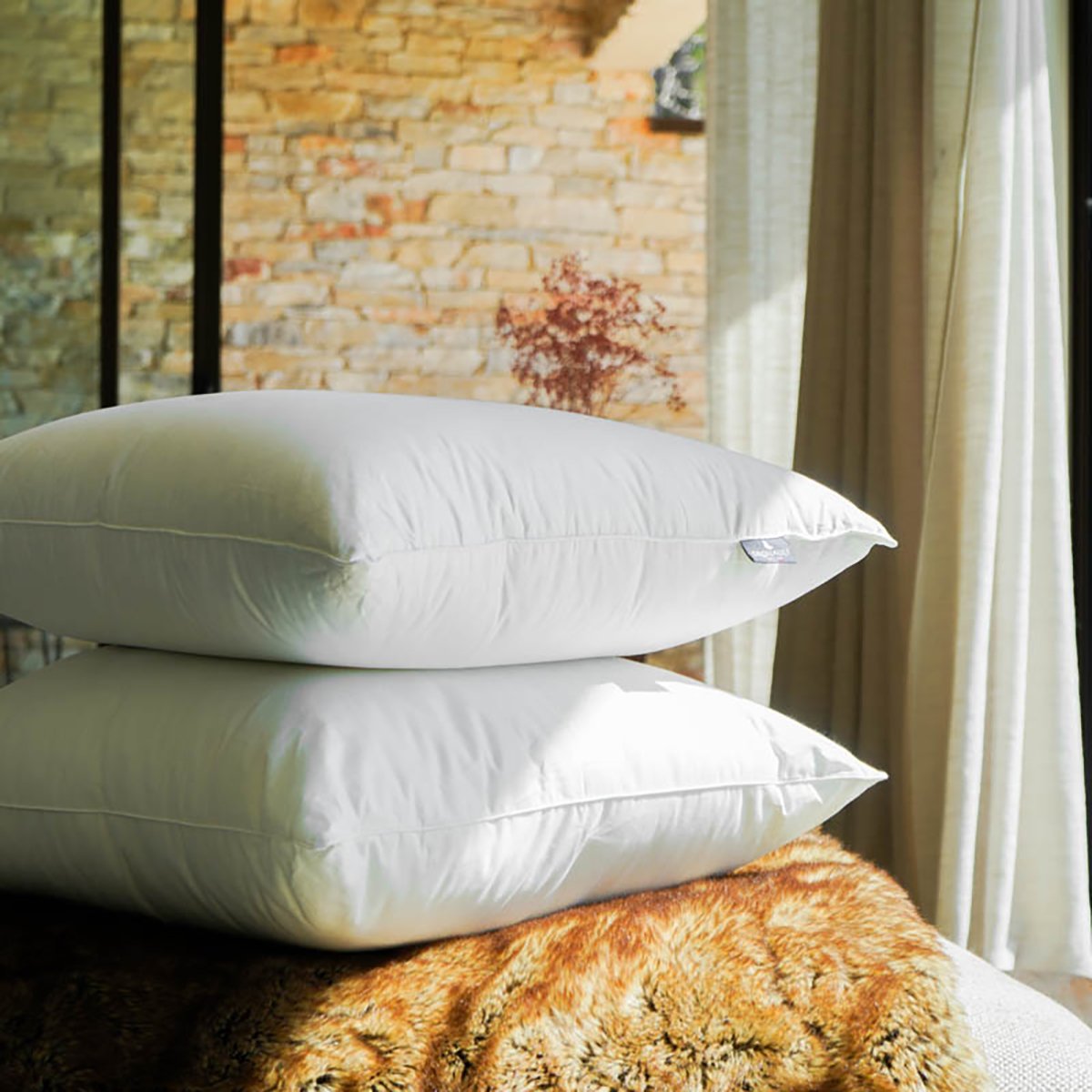 Oreiller Millénium - Mi-ferme