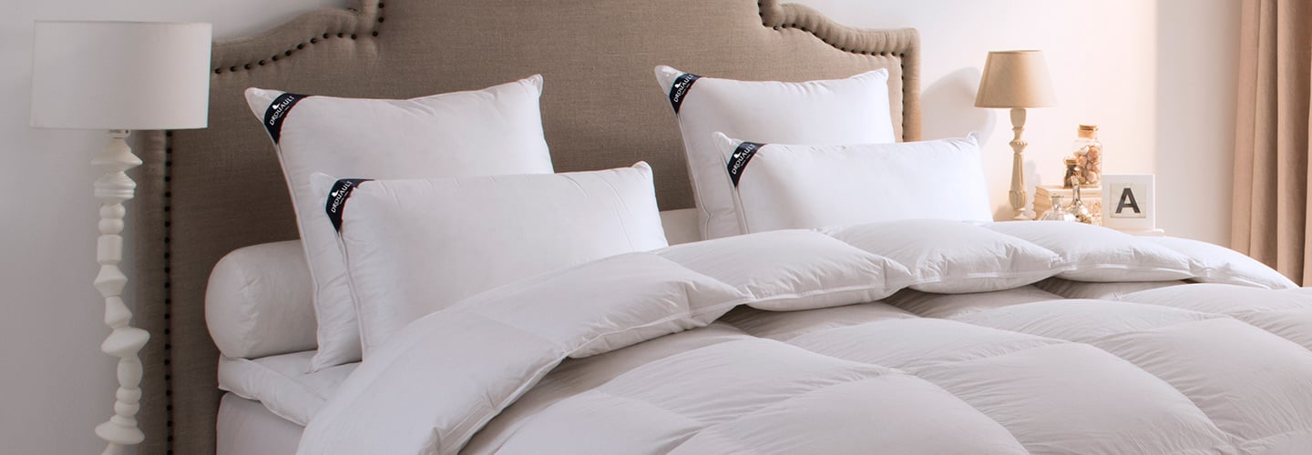 Comment Choisir Un Oreiller En Plume