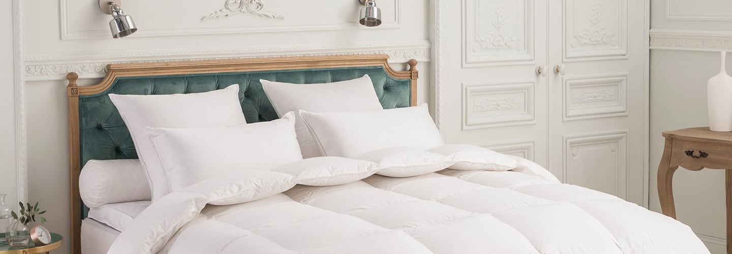 Gamme oreillers duvet