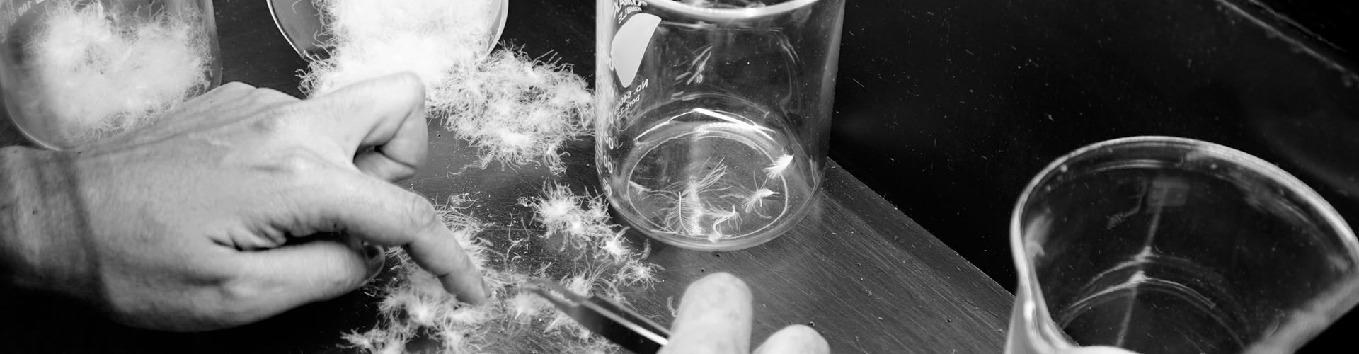 Drouault Qualité garantie Drouault Qualité garantie