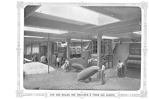 Usine