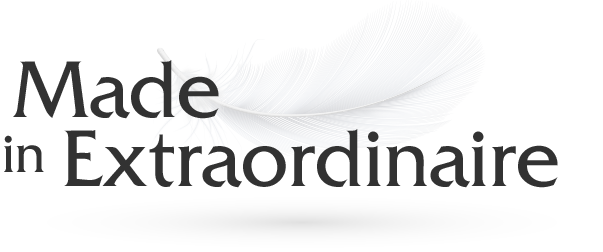Made In Extraordinary